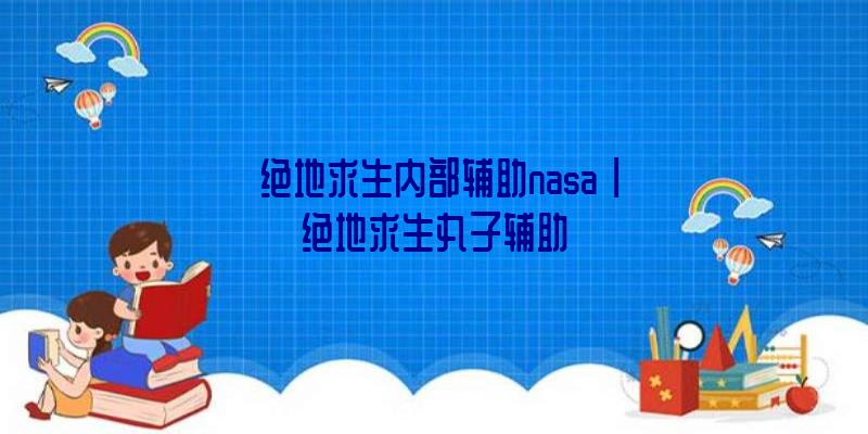 「绝地求生内部辅助nasa」|绝地求生丸子辅助